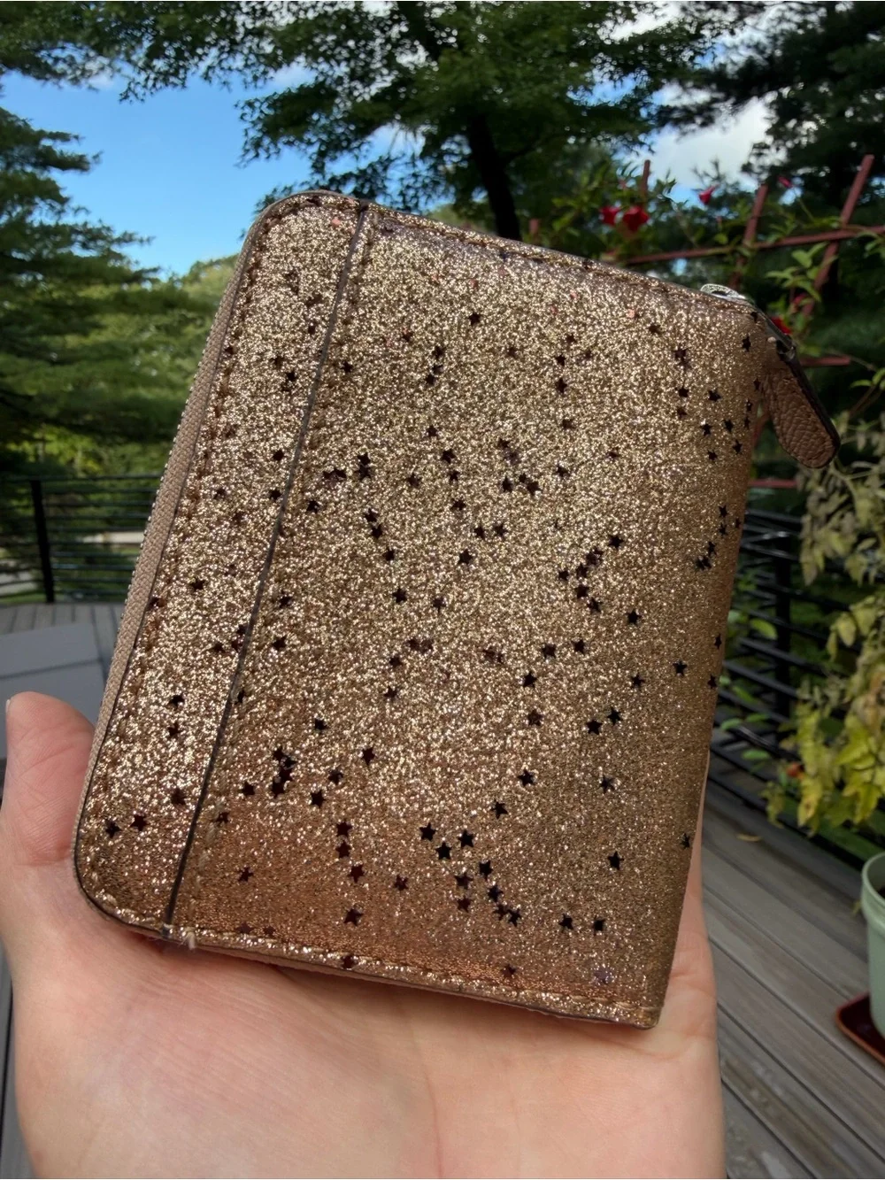 Coach star glitter